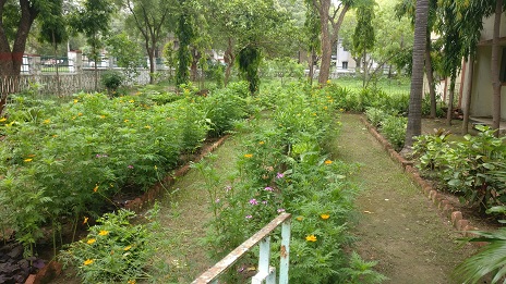 Botanical Garden